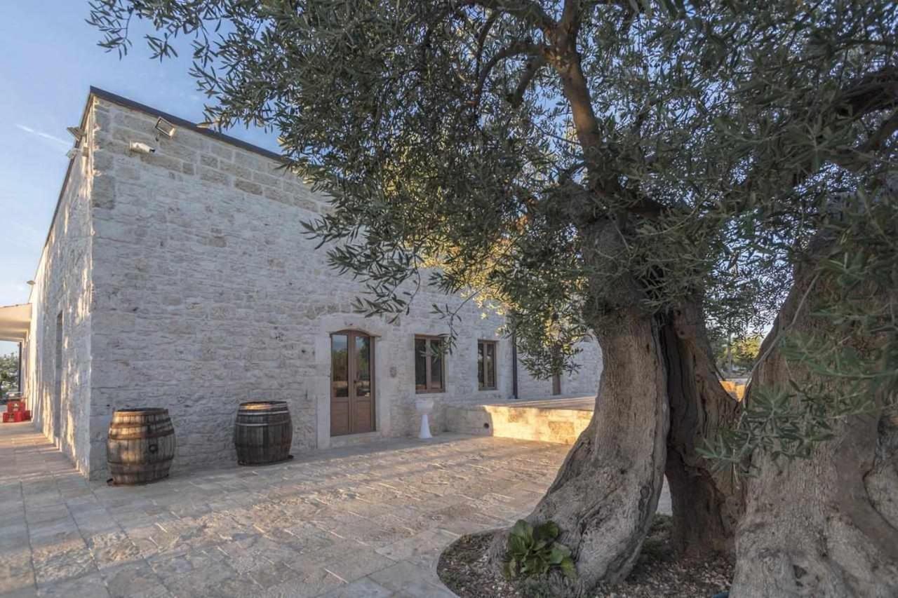 Masseria Fanizzi Конверсано Екстериор снимка