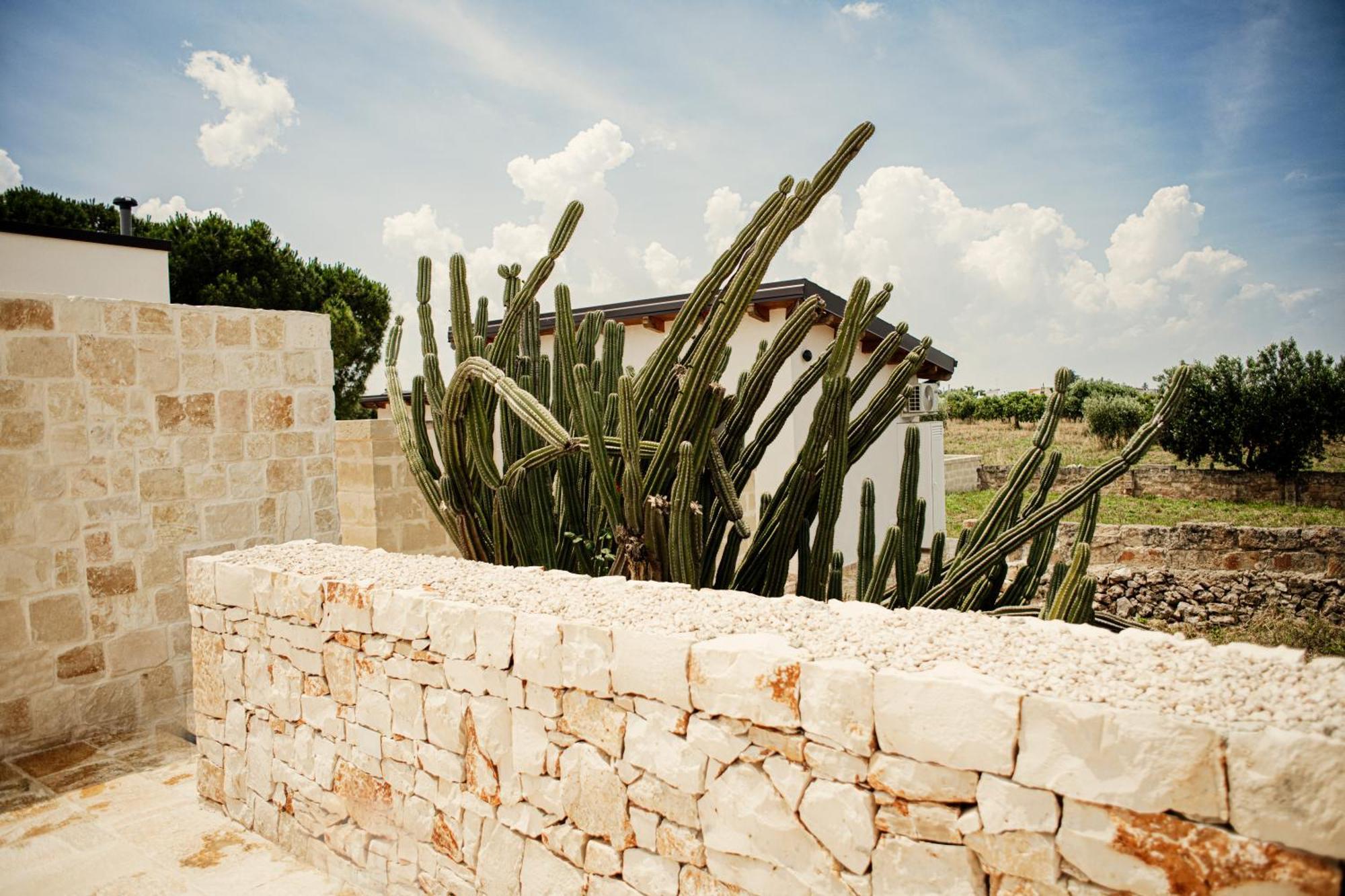 Masseria Fanizzi Конверсано Екстериор снимка